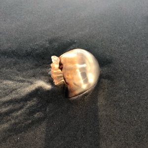 Meet your Posher, Annaliao